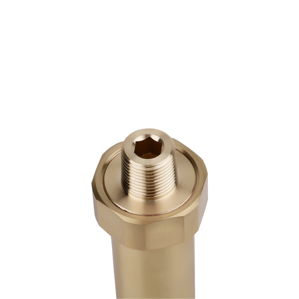 Freeze  Protection Valve-910026NT-SMLG